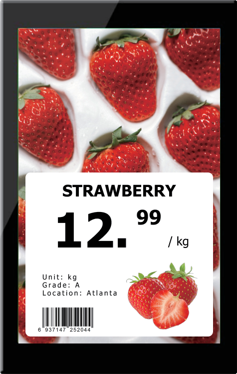 10.1″ tek / çift yüzlü TFT-LCD etiket